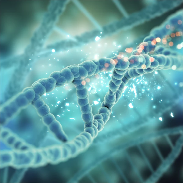 Epigenetics cuadrado Epigenetics cuadrado
