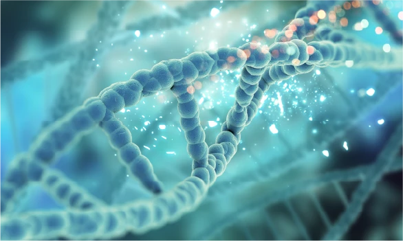 Epigenetics