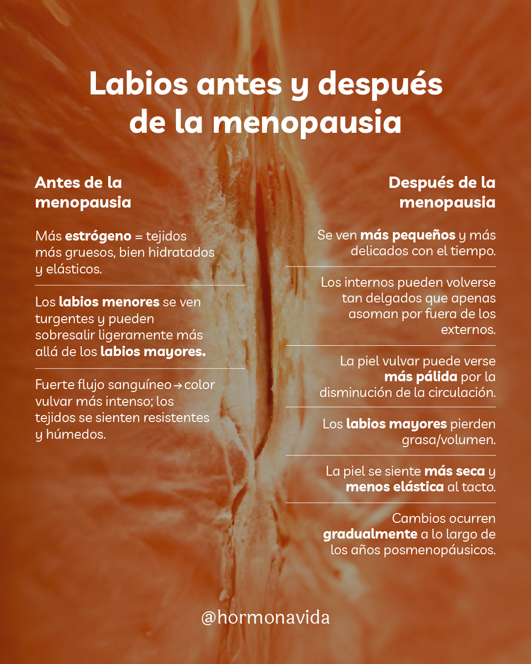 Infografia Labios antes y despues de la menopausia