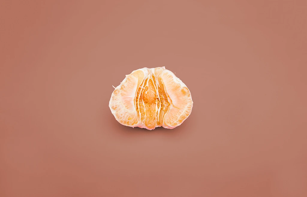 Labia Minora Disappear: Causes, Menopause & Solutions