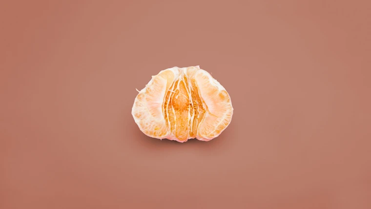 Labia Minora Disappear: Causes, Menopause & Solutions